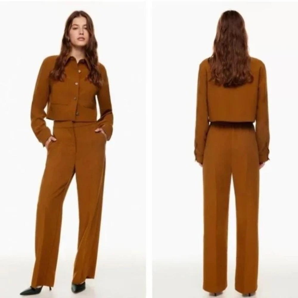 Aritzia Wilfred Alanya Pant in Rich Chesnut